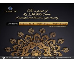 Choose to be the franchisee of Diviniti to get sure success - 1