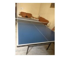 Table tennis table for sale in delhi - 8