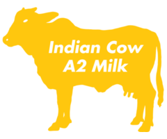 Online Fresh Milk Delivery App in Jaipur India - Image 1/10