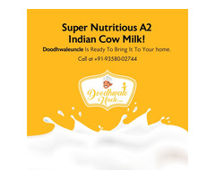 Online Fresh Milk Delivery App in Jaipur India - Image 5/10