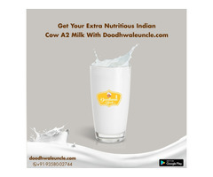 Online Fresh Milk Delivery App in Jaipur India - Image 10/10