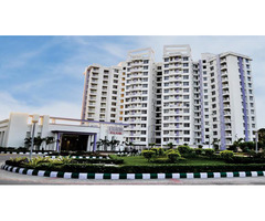 Ready to move-in 3BHK+Store Flat For Sale in Madiyon Sitapur Road - Image 5/6