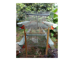 Hi-tech chicken cage - Image 1/3