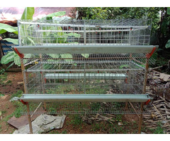 Hi-tech chicken cage - Image 3/3