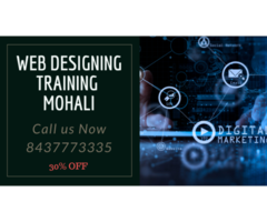 Web Designing Industrial Training in Mohali. - Image 1/2