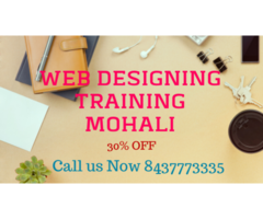 Web Designing Industrial Training in Mohali. - Image 2/2