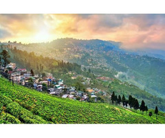 •	Darjeeling - Gangtok - Lachen - Pelling - Kalimpong Tour - Image 2/10