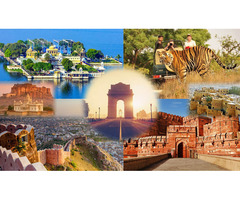 •	Golden Triangle Tour with a spice of Wildlife - Image 2/10
