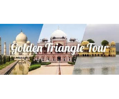 •	Golden Triangle Tour with a spice of Wildlife - Image 5/10