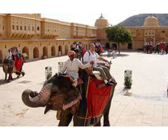 •	Golden Triangle Tour with a spice of Wildlife - Image 7/10