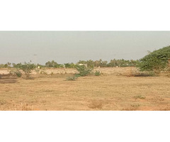Newly launched DTCP approved Plots for sale at Ponneri Smart City - Image 5/10