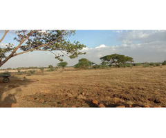 Newly launched DTCP approved Plots for sale at Ponneri Smart City - Image 7/10