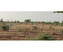 Newly launched DTCP approved Plots for sale at Ponneri Smart City - Image 9/10