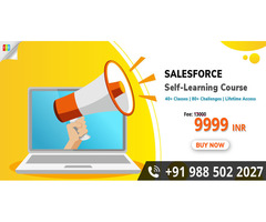 Best Salesforce Developer Training with Certified Experts - Image 1/3