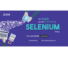 selenium training in chennai - Image 2/2