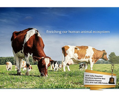 Vet Pharma Companies in India | Ashish Life Science - 3