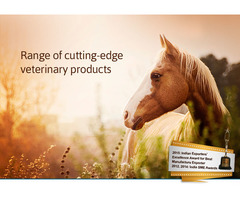 Vet Pharma Companies in India | Ashish Life Science - 4