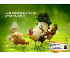 Vet Pharma Companies in India | Ashish Life Science - 5