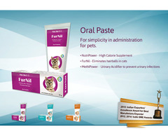 Vet Pharma Companies in India | Ashish Life Science - 6