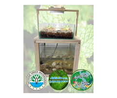 Hydroponics and Aquaponics System to Grow your own food - Image 1/10