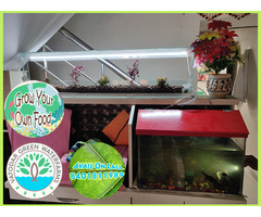 Hydroponics and Aquaponics System to Grow your own food - Image 2/10