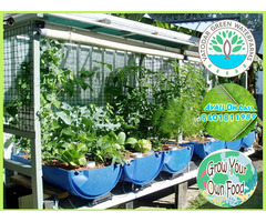 Hydroponics and Aquaponics System to Grow your own food - Image 6/10