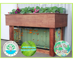Hydroponics and Aquaponics System to Grow your own food - Image 8/10