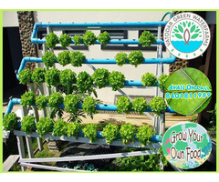 Hydroponics and Aquaponics System to Grow your own food - Image 9/10