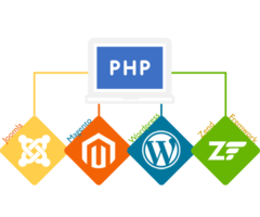 Leading Software & PHP Development Company in India - Image 1/2