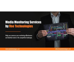 Media Monitoring and Brand Analysis Services USA