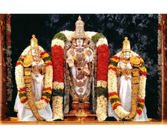best tirupati packages from chennai - Image 1/3