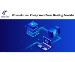 Wisesolution: Cheap WordPress Hosting Provider - Image 1/3
