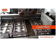 3D Pallet Plant suppliers | Chocolate machines manufacturer - Image 2/3