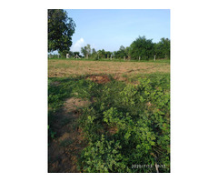 Agricultural Land at Chhabhau, Bayad Taluka, Aravali, Gujarat. - Image 1/5