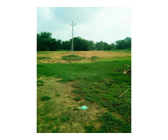 Agricultural Land at Chhabhau, Bayad Taluka, Aravali, Gujarat. - Image 4/5