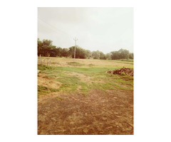 Agricultural Land at Chhabhau, Bayad Taluka, Aravali, Gujarat. - Image 5/5
