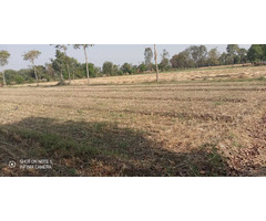 19.5 Bigha Agricultural Land at Sanoda Gam, Dehgam Taluka, Gandhinagar, Gujarat. - Image 2/5