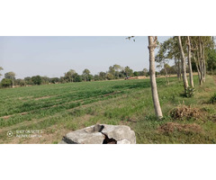 19.5 Bigha Agricultural Land at Sanoda Gam, Dehgam Taluka, Gandhinagar, Gujarat. - Image 4/5