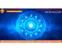 Best Astrologer in Mumbai - 1