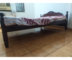 Queen size cot with mattress - Image 1/2