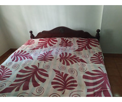 Queen size cot with mattress - Image 2/2