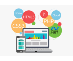 Web Designing Service in Ambala, Haryana - Image 1/4