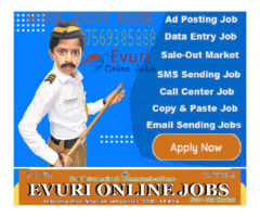 Part Time Home Based Data Entry Work / Home Based Copy Paste Form Filling Job - Image 4/9