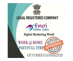 Part Time Home Based Data Entry Work / Home Based Copy Paste Form Filling Job - Image 5/9