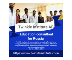 Education consultant  Russia 2020-21 Twinkle InstituteAB - Image 1/2