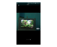 Flat samsung TV 29 inch - Image 1/3