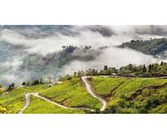 Darjeeling - Gangtok - Lachen - Pelling - Kalimpong Tour - Image 2/6