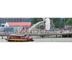Singapore 3* package for 4 Days - Image 6/10