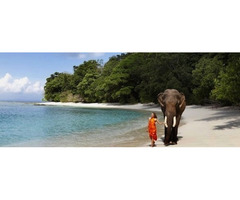 Port Blair, Havelock Tour Packages - Image 3/4