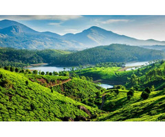 Green Kerala Tour Package - Image 5/6